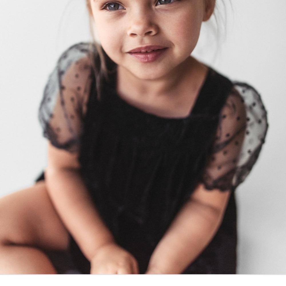 Zara - Velvet Tulle Dress